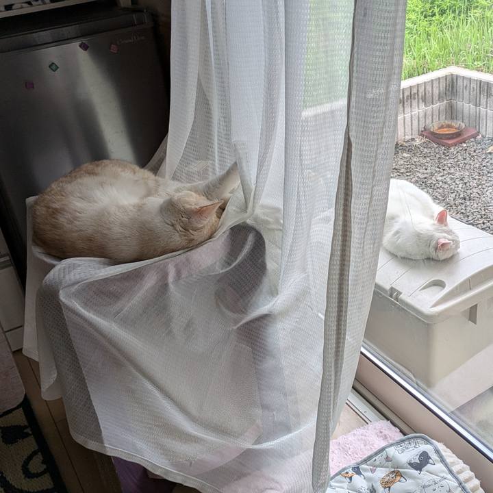 69741517 138c 457a 9ab2 8e235d88f291 1718694753937