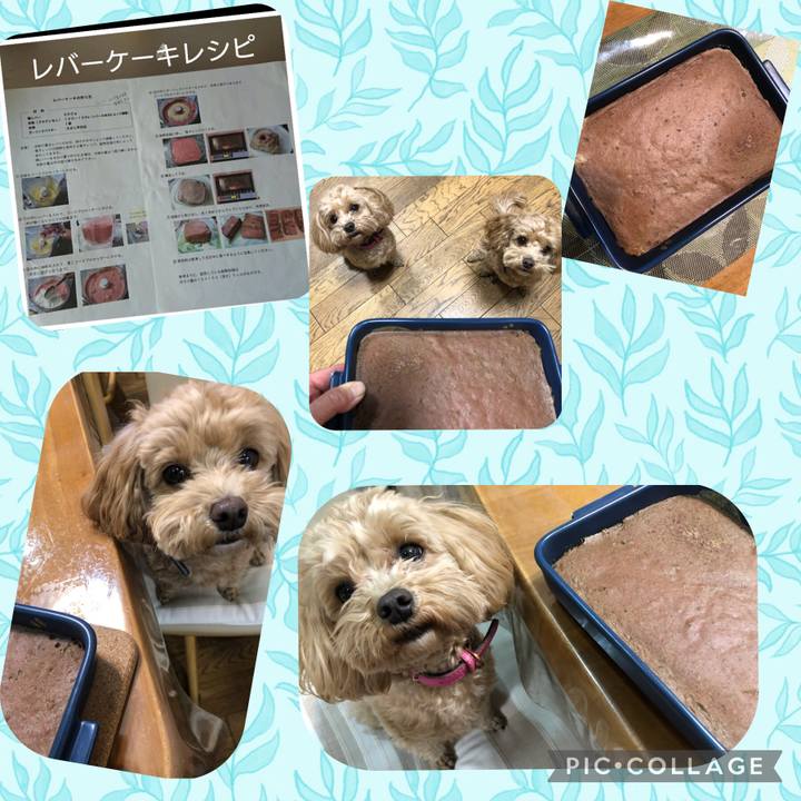 69745701 0365 41ac ab6b dbdbf201df3f 1644063580447