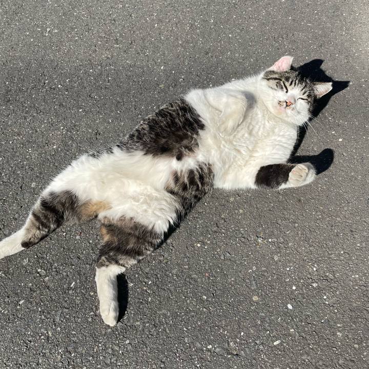 697468b6 f243 40d4 b3ae 0cabf6717d8f 1643773933554