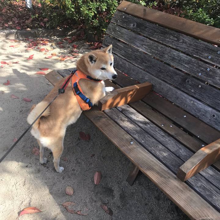 697475ec 607b 4198 84c0 0a52883fc7d2 1542801902027