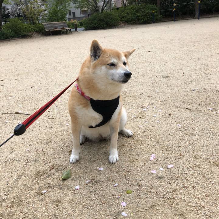 697481ed 0488 45b6 b1d0 a0a2d8971c1b 1555026184124