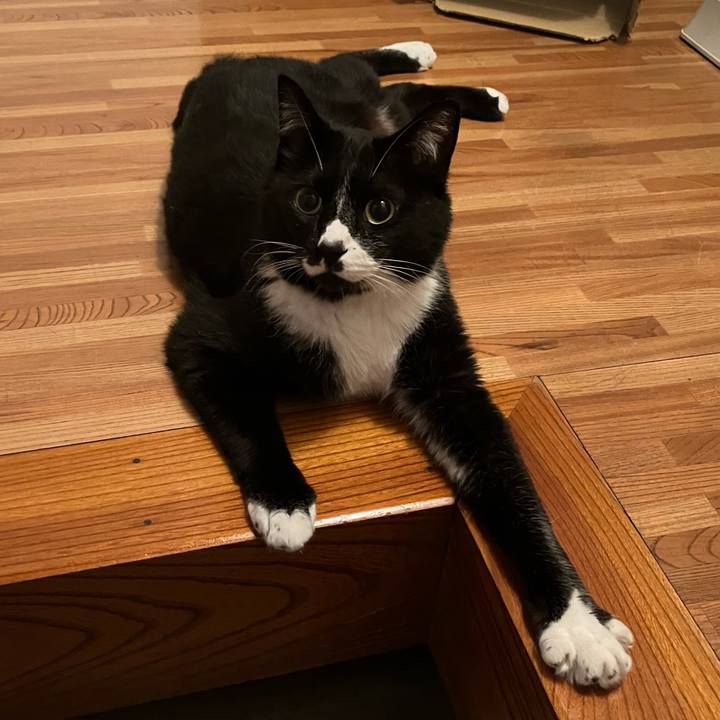 6974d41b 3707 421d ad65 d45acfc8aeaa 1687837396579