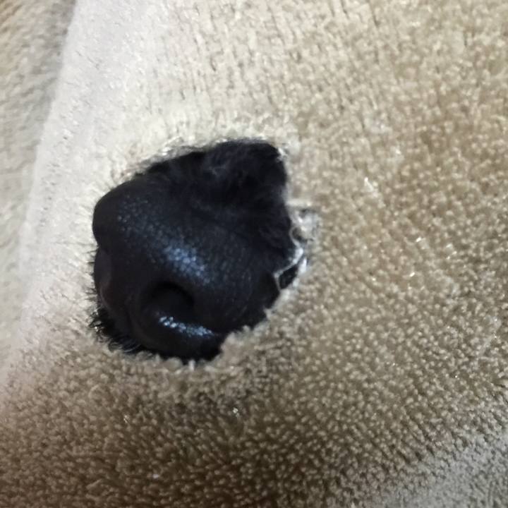 6974e2c0 8f9a 4930 b897 174c38d4bdd1 1524300574382