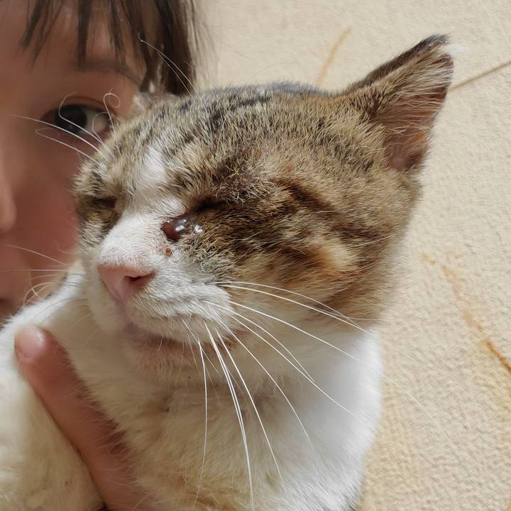 69751fdb 0b87 4782 9631 ef9070cdc055 1695736956834