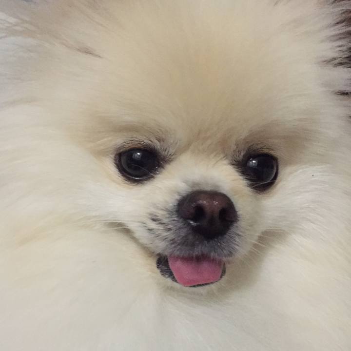 69753049 7333 4670 840c 9d2d009dc9e0 1508565904612