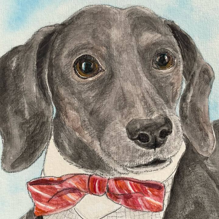 69754e86 0c3c 4f67 9acb 34bd901e8f59 1678518134204