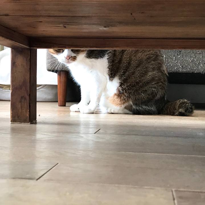 69755d5e 94e1 4920 8e4f 4f00794f4500 1603603757819