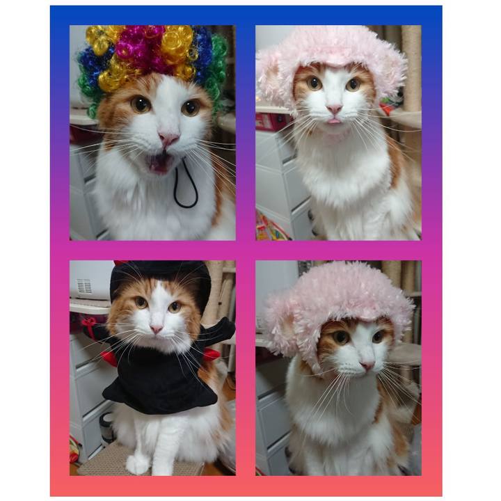 69755e18 b4a7 4221 88ab 134b42102c4b 1572517652712