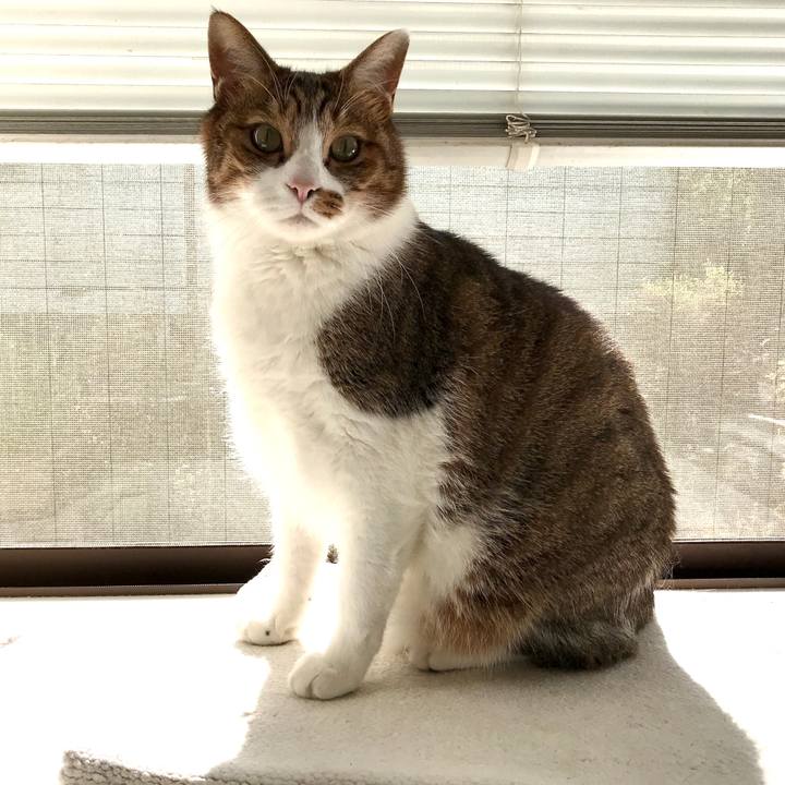 697564e8 f263 4dd7 bbcd 440d45daa5f0 1574042755965