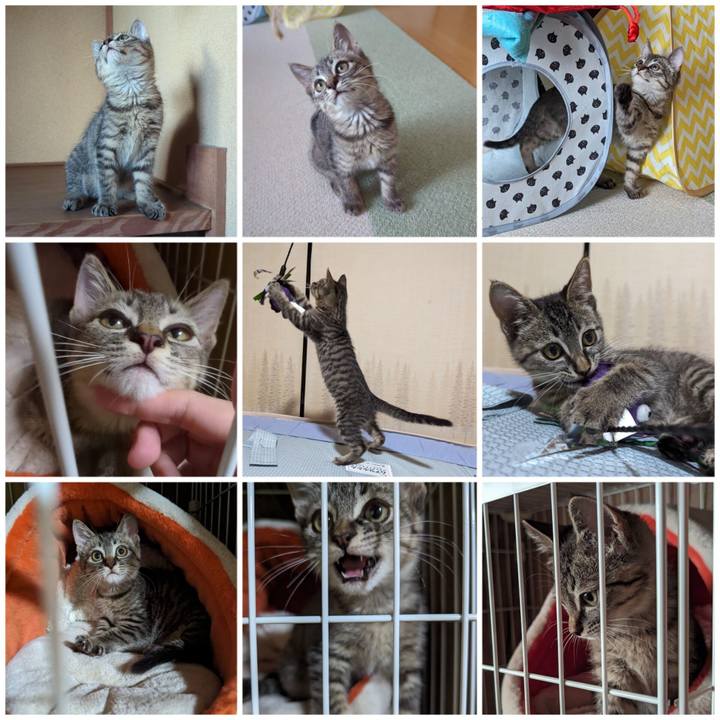 6975b887 44fc 4489 b258 6af178af2b66 1700380873912