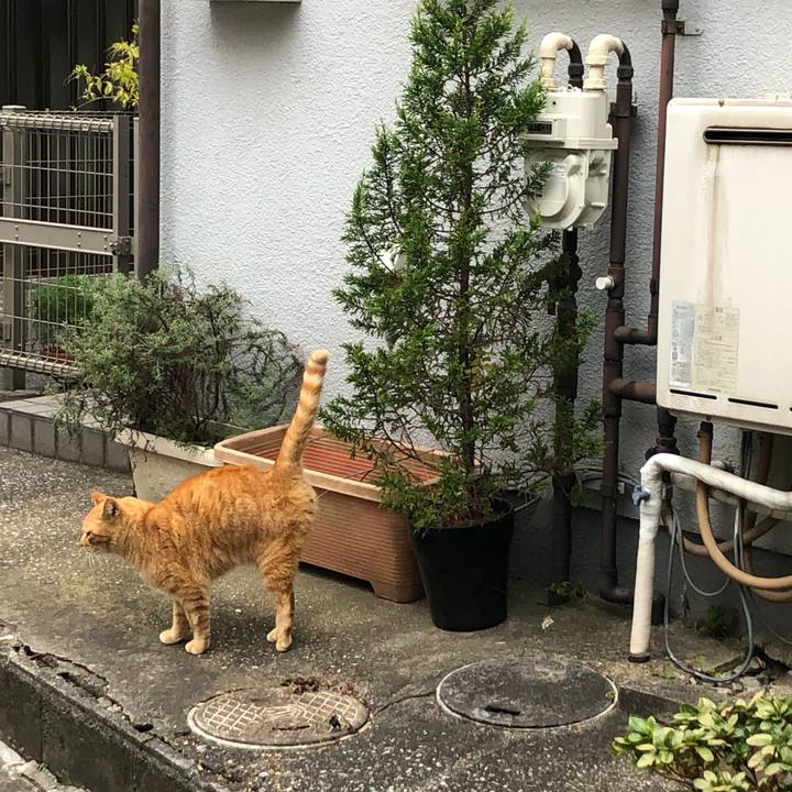 6975d5da 84f8 442e 8fb7 9aa56f6ff95c 1612105443030