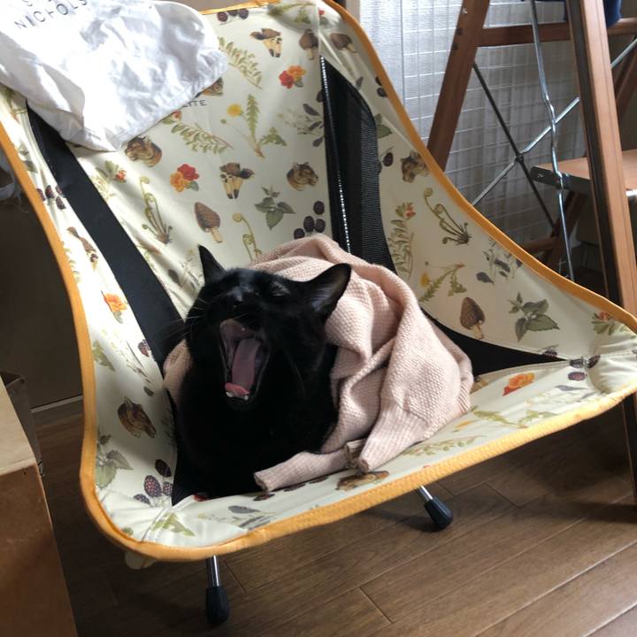 6975f391 c1ee 4855 a6a6 817de2b99c9f 1608851443694