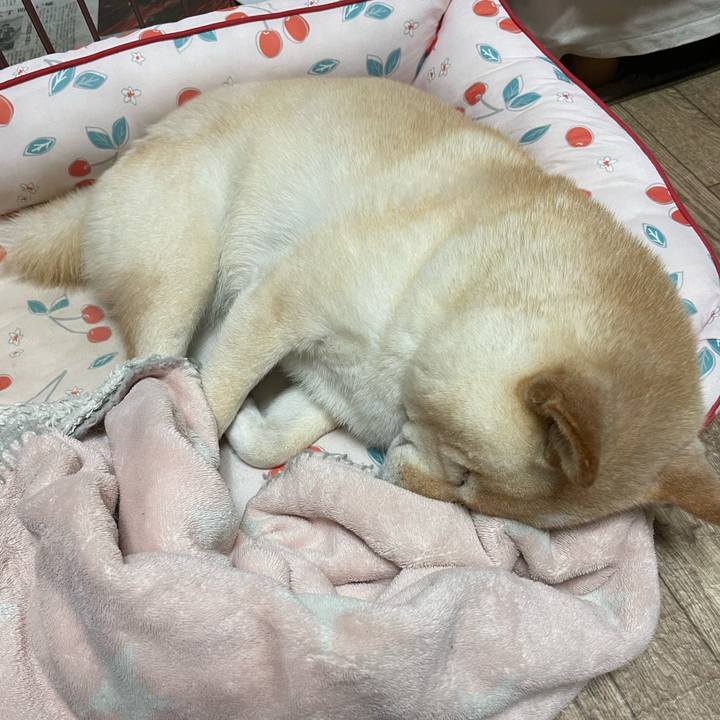 69760a87 f2bb 448e bfd3 b9327740008e 1716467541977