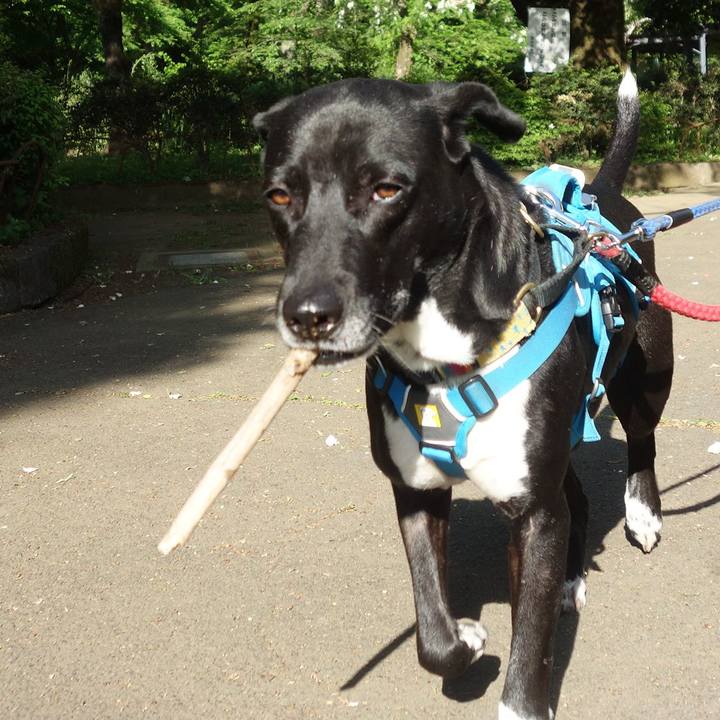 69761032 8ced 478f b71d fd2ebd4e8199 1619569865165