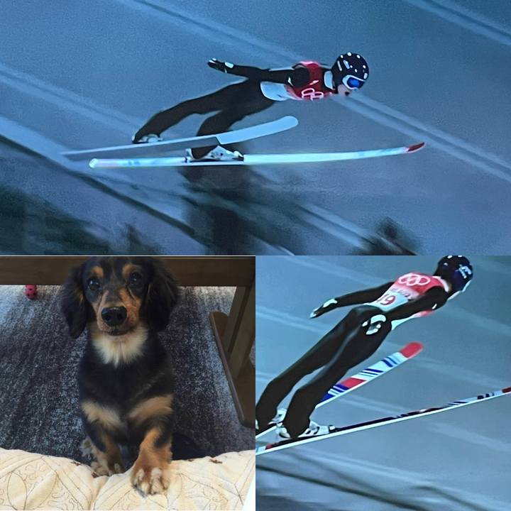 69767269 8732 4925 bb50 5efaf66ec7f8 1644669673863