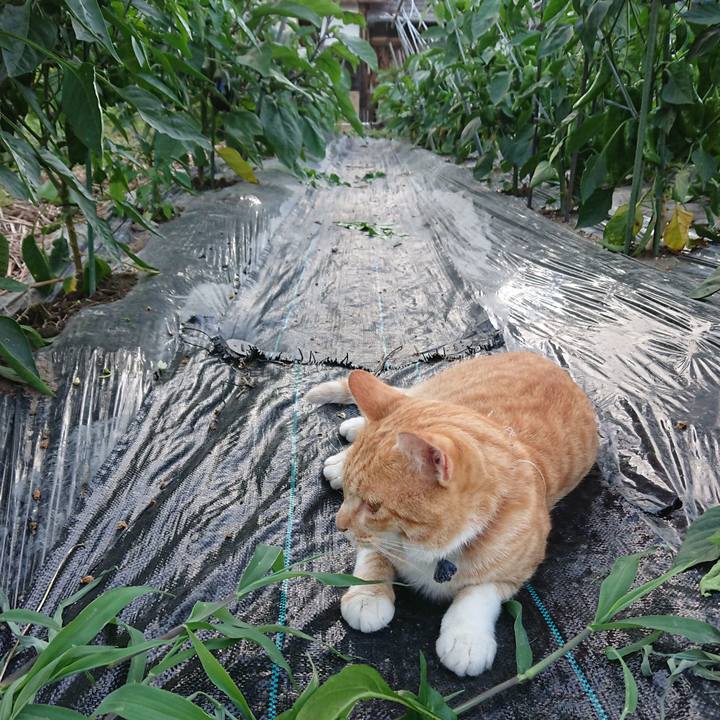 69769fe6 716e 4ba3 ad54 5d430bbf489a 1564220358145