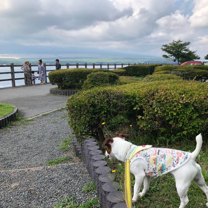 69772ed0 9b54 4b64 8ec3 58e8f1a22245 1566828411829