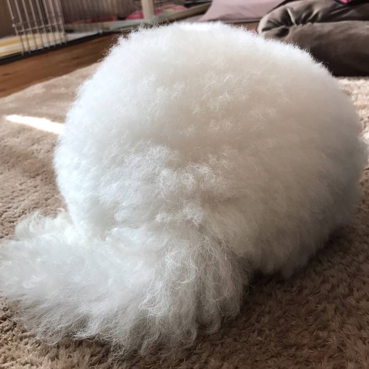 6977364b 09b5 4a8b 966b 5f18ed10f012 1578622221883