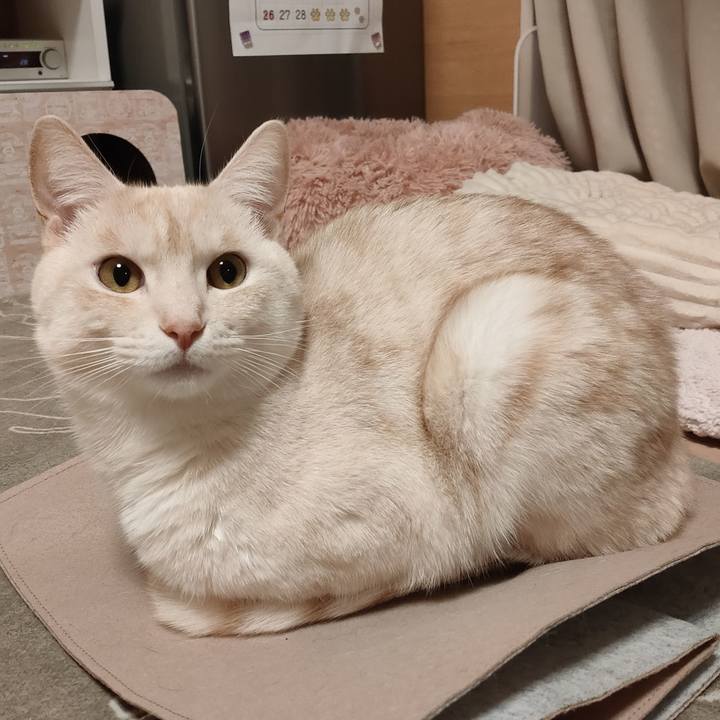 697746b2 6327 4aac 8213 b578b8dd6da4 1676039416082