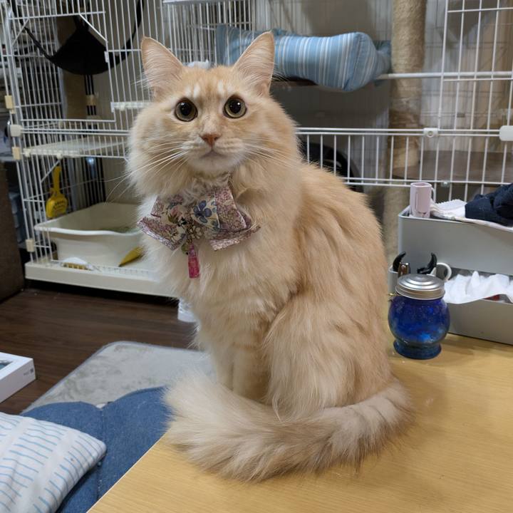 697769fa 3b26 4e35 88ce 41050471607a 1761304567270