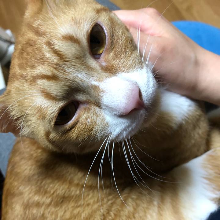 69779172 8d48 46c9 a7e9 935f9b4b3ea6 1564662139306