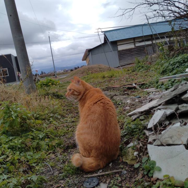 6977944c 55f9 418c 9868 5a0510f0310f 1670208572681