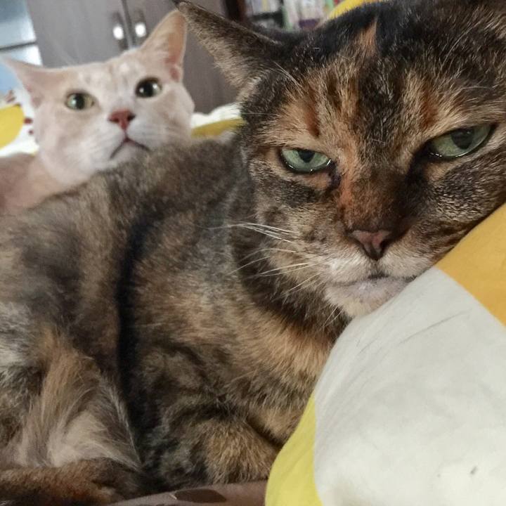 6977c31a d3b0 4b1c 9c3b 0e3404a67ec9 1549779257568