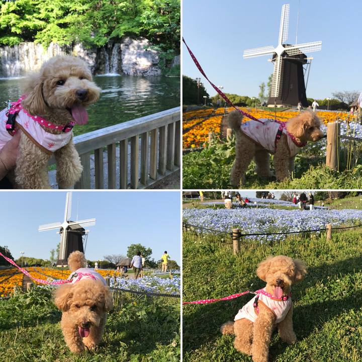 6977e212 7e3d 433b b01c eef3e4190a36 1524302611346