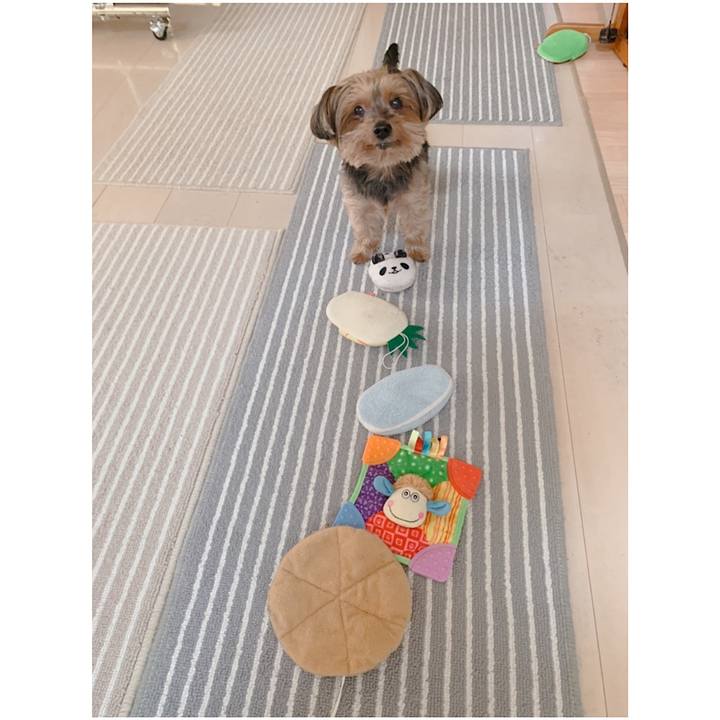 6977fbce 2ffd 443b bd42 2452824a1af9 1605850704296