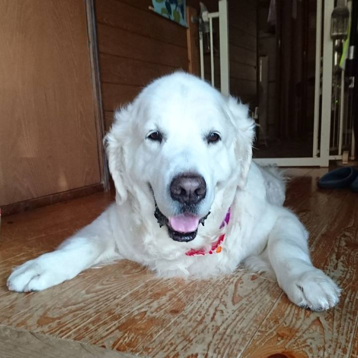 69783172 8b1d 46ba af97 b5f4639e506c 1532084519576