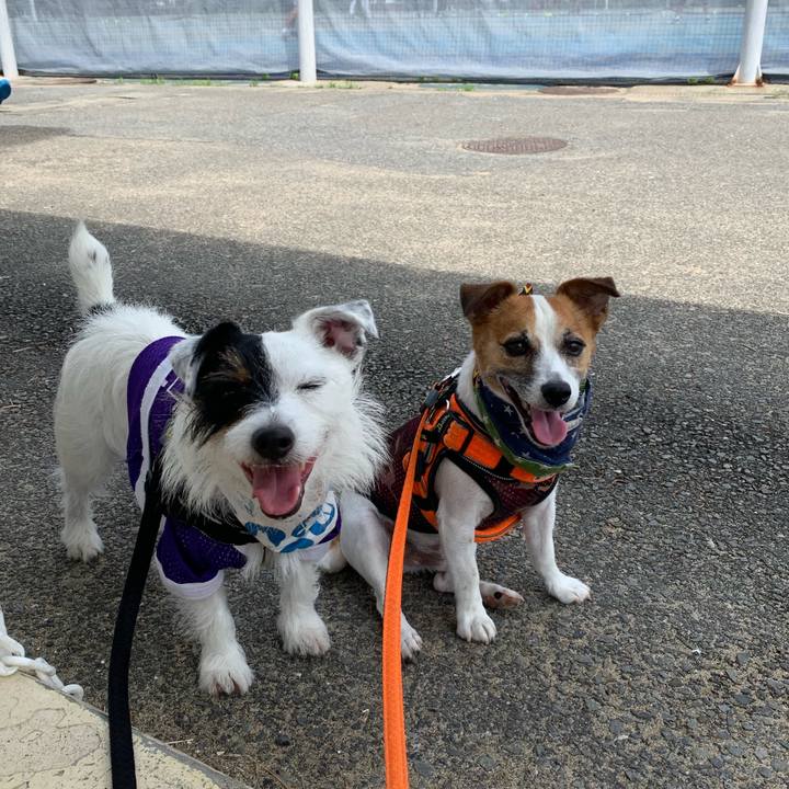 6978744a cede 4193 8344 e636873d1325 1564281012885