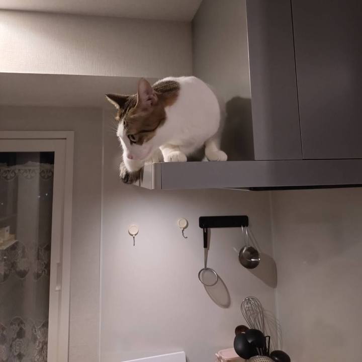 69787cdc cd18 4d54 ad43 de291498fb37 1762259478692