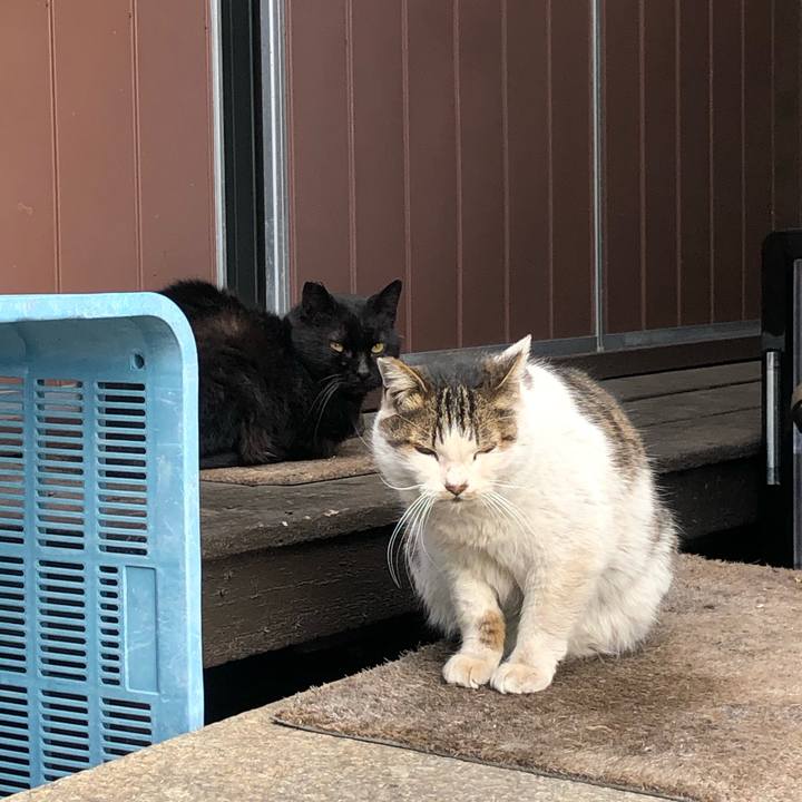 69788bcd 87fc 49e1 bed3 e45b3fbdb03b 1644050883493