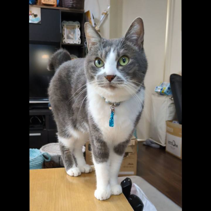 6978b235 e15d 4b22 85ce 14be2998b3dc 1767603663980