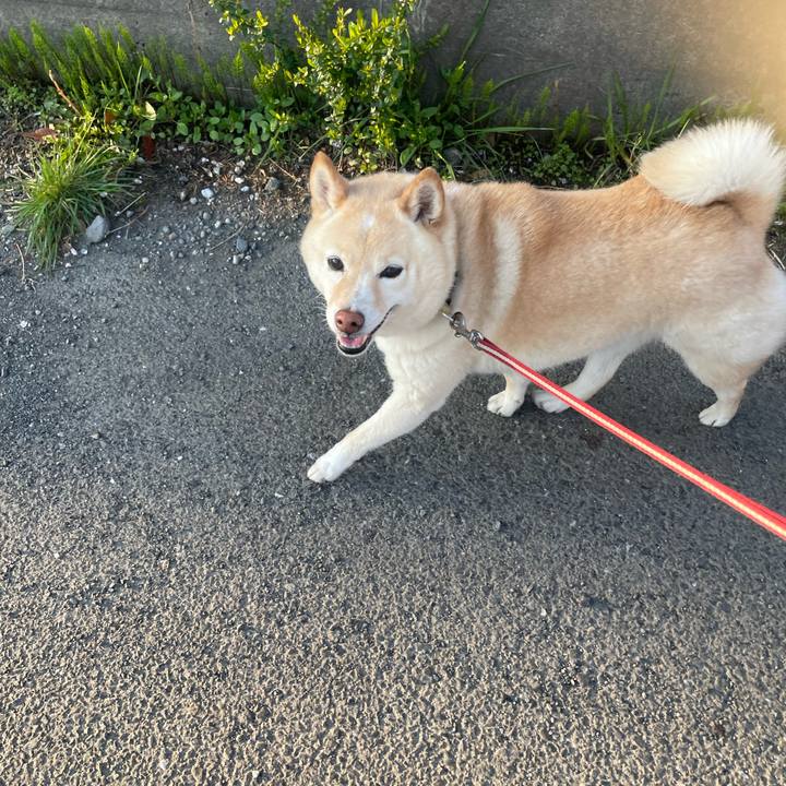 6978e858 707c 405c 9f21 9bc4e4de44e8 1744147857390