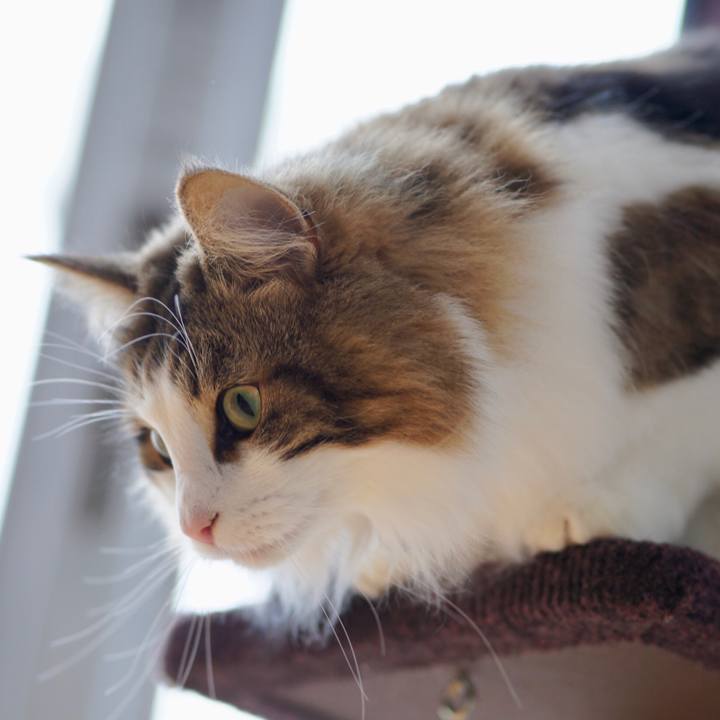 6978f4f9 206e 4213 95a7 257a6b426d1d 1545566500825