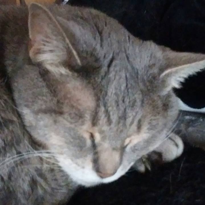 6978fa45 69c5 4303 b752 b3031bdd9b94 1529123842940