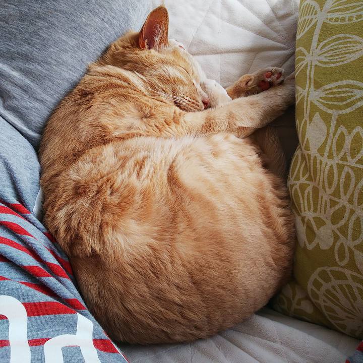 69790029 5bef 477e 813a 3e69ce6df926 1681013440882