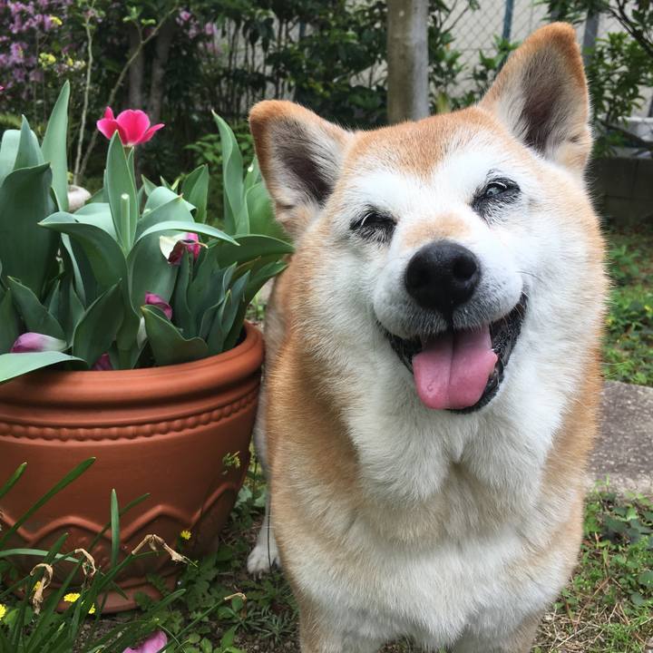 69790656 775a 487d 9163 e89d44bab40b 1556240073719