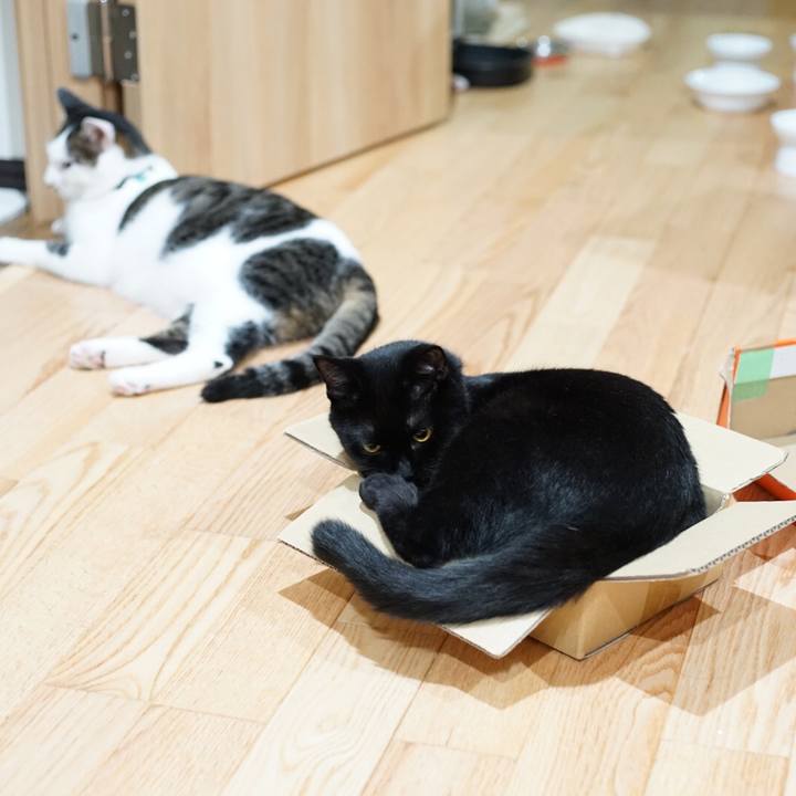 69793b2d e870 45e2 8c39 4cbac919a0de 1531785338660