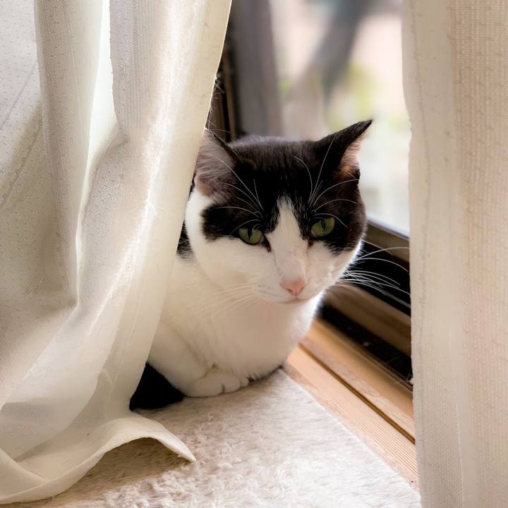 69794be3 6d11 422f bb00 d3e88e6828f1 1563500820834