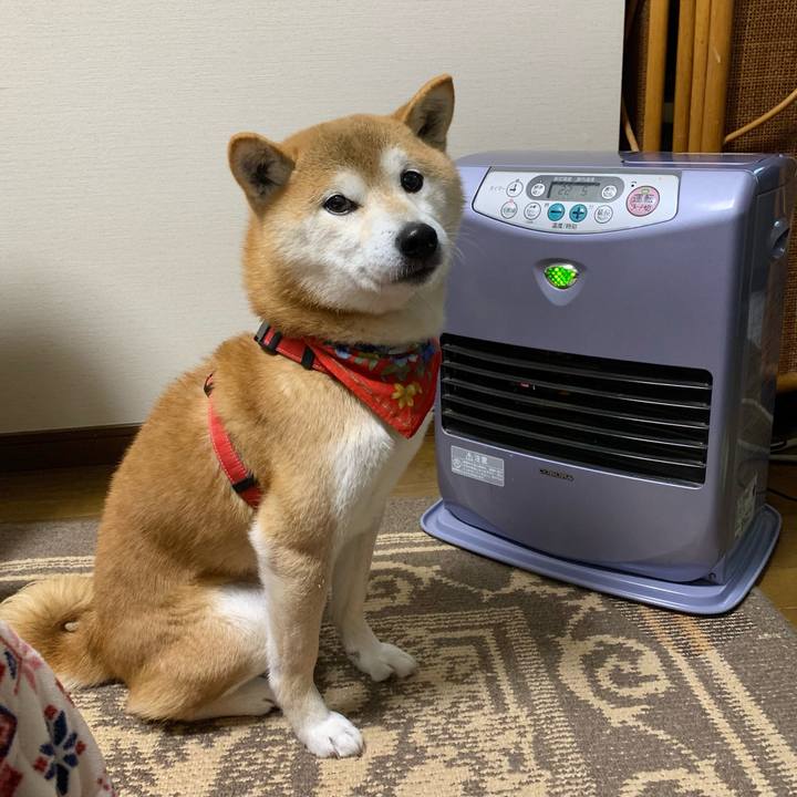 69794d3a ccf3 4e21 ad31 33152a3722fa 1610615070651