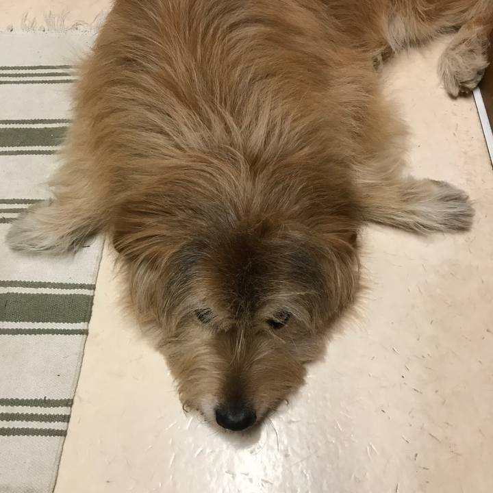 697971ad 77d8 4581 a945 241b0532975b 1619444821291