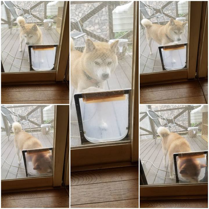 697982aa a10b 468e 88a6 43a48ebbcedf 1561861516337