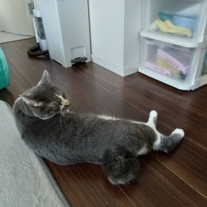 69799a67 de6e 49e0 822c 4f1e10a38ee6 1631250191382