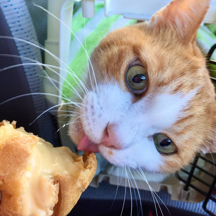 6979be51 2920 4ecc ad13 91ac540d6a0a 1573720071524