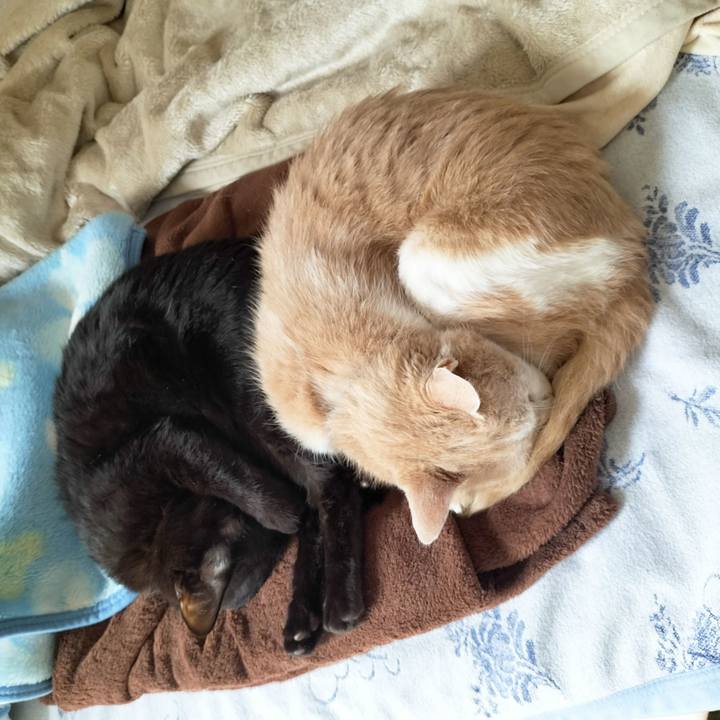 6979fdcb ce1a 45e7 9026 e0855c6c08d5 1679721966433