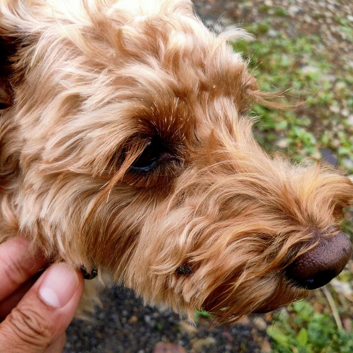 697a1409 f93c 44e6 97c3 dcb67b78dd19 1592434283987