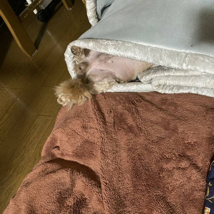 697a30bd 0f68 4a59 ad04 f2a5cb4cd9c6 1614477487152