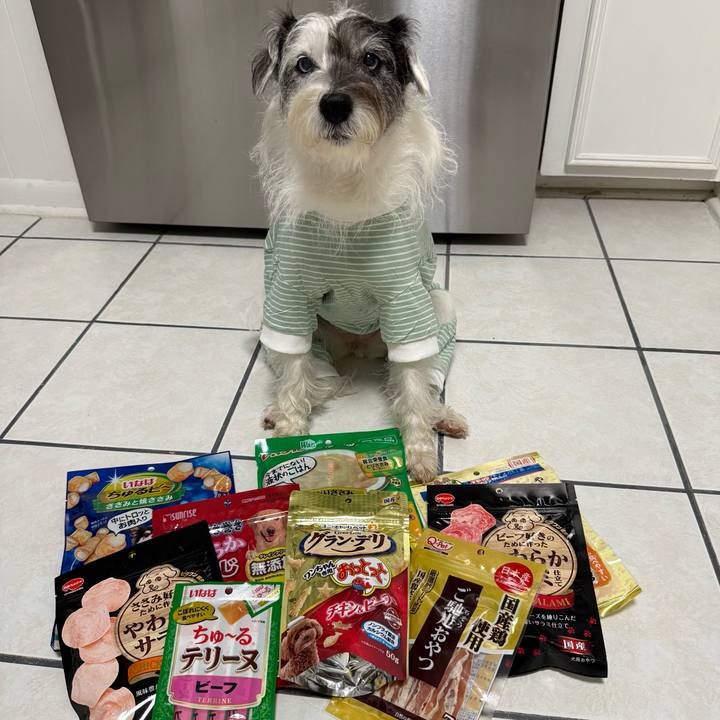 697a5dfe deb2 432a 9f58 b421ea304911 1765319566549